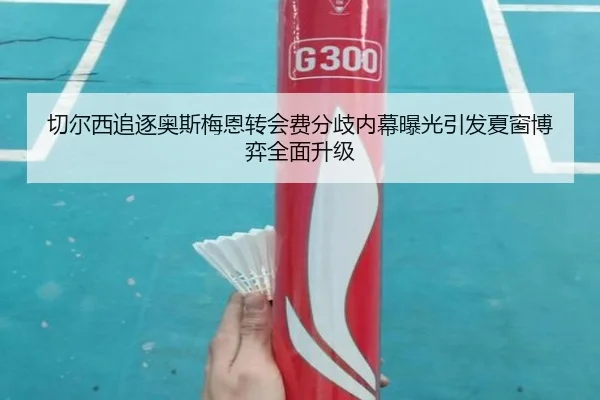 切尔西追逐奥斯梅恩转会费分歧内幕曝光引发夏窗博弈全面升级